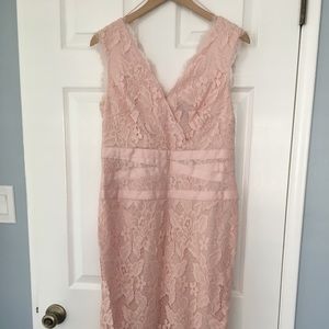 Adrianna Papell Blush Lace knee length Dress
